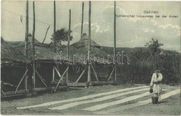 ** T1 Galizien, Ruthenischer Leineweber Bei Der Arbeit / Rusyn (Ruthenian) Folklore, Linen Weaver At Work. Zittavia H.J. - Unclassified