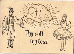 ** T1/T2 Így Volt így Lesz! Aranyozott Díszítés Nagymagyarország Határánál / Hungarian Irredenta Greeting Art Postcard.  - Non Classés