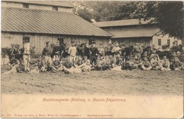 T2/T3 1909 Osztrák-magyar Géppuska Osztag / Maschinengewehr-Abteilung In Marsch-Adjustierung / K.u.K. (Austro-Hungarian) - Non Classés