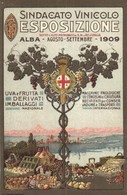 ** T1 1909 Sindacato Vinicolo Esposizione. Uva E Frutta Derivati Imballaggi Nazionale. Macchine Enologiche Congegni Di C - Sin Clasificación