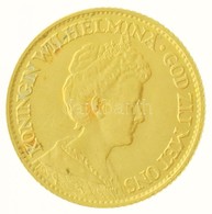 Hollandia 1917. 10G Au 'I. Vilma' (6,71g/0.900) T:2 / 
Netherlands 1917. 10 Gulden Au 'Wilhelmina I' (6,71g/0.900) C:XF
 - Non Classés