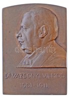 Csillag István (1881-1968) 1911. 'Dr. Vázsonyi Vilmos 1901-1911' Egyoldalas Br Plakett (53,21g/54x39mm) T:1- / Hungary 1 - Sin Clasificación