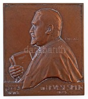 Csillag István (1881-1968) 1925. 'Dr. Hevesi Simon' Br Plakett (152,64g/61,5x70mm) T:2 / Hungary 1925. 'Simon Hevesi Dr. - Unclassified