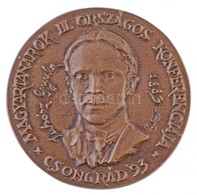 Lantos Györgyi (1953-) 1993. 'Juhász Gyula - Magyartanárok III. Országos Konferenciája - Csongrád '93' Egyoldalas, öntöt - Unclassified