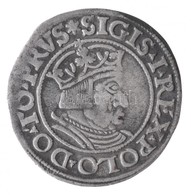 Lengyel Királyság / Danzig 1535. 1Gr Ag 'I. Zsigmond'  (1,76g) T:2 /
Poland / Danzig 1535. 1 Grossus Ag 'Sigismund I' (1 - Non Classés