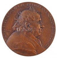 Franciaország 1886. 'Michel Eugene Chevreul 100. Születésnapja' Br Emlékérem, Peremén 'BRONZE' Jelzés. Szign.: O. Roty ( - Ohne Zuordnung