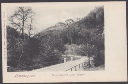 "Lössnitzgrund", Restaurant "Pfeiffer", Ca. 1910 - Lössnitz