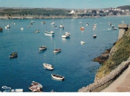 LE CONQUET VUE GENERALE DU PORT (dil430) - Le Conquet