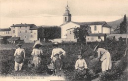 Thème  Métiers .    Agriculture .. Côte D'Azur    Cueillette Des Fleurs    Lot De 2 Cartes (voir Scan) - Culture