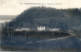 49 - Champtoceaux - Route De La Varenne - Champtoceaux