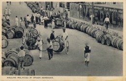 BARBADOS , TARJETA POSTAL NO CIRCULADA - HAULING MOLASSES BY SPIDER , BARREL , TONEL - Barbados