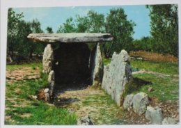 BARLETTA ANDRIA TRANI - Bisceglie - Dolmen Della Chianca - Tipico Sepolcro Dell' Età Del Bronzo -Preistoria- Archeologia - Bisceglie