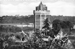 OUDON     VUE SUR CHAMPTOCEAUX - Oudon