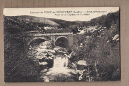 CPA 48 - Environs De PONT-de-MONTVERT - Pont De La Cépède Et Le Rivière - TB PLAN - Le Pont De Montvert