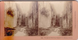 1899 / KILBURN 13244 / BAHAMAS / NASSAU / THE QUEEN S STAIRWAY - Photos Stéréoscopiques