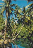 SEYCHELLES - LAGON DE LA DIGUE - Seychellen