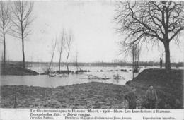 BELGIQUE - Inondations à HAMME - Mars 1906 - Digue Rompue - Hamme