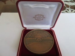 ASIAN MEDAL MADE BY JOHNSON, MILANO - ROMA, WITH BOX - Andere & Zonder Classificatie