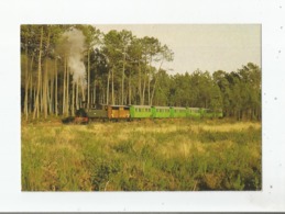 SABRES (LANDES) 55 TRAIN DE MARQUEZE LOCOMOTIVE CORPET LOUVET  WAGON DYLE ET BACALAN (1903 1913) - Sabres