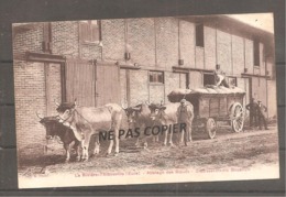 LA RIVIERE THIBOUVILLE  Attelage De Boeufs  Etablissement Bouchon - Autres & Non Classés