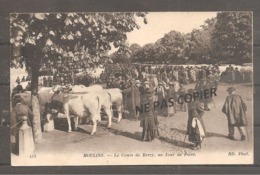Le Cours De Bercy  Un Jour De Foire   Vaches - Moulins