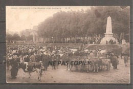 RENNES   Le Marche Aux Bestiaux   Vaches   Oblit  1907 - Altri & Non Classificati