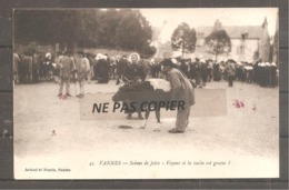 VANNES    Scene De Foire    Vache - Vannes