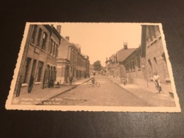 Mesen -Meessen -  MESSINES - Korte Mooie Straat - Rue Courte Et Belle - Geanimeerd - Ed. Spinnewijn - Mesen