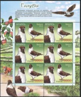 2011 Belarus Pigeons Sheetlets (** / MNH / UMM) - Pigeons & Columbiformes