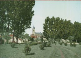 18-332 - CHER - SANCERGUES - Le Parc - Sancergues