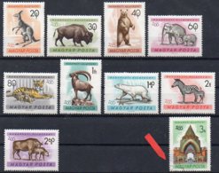 Ungarn 1961  MiNr. 1727- 1735 **/ Mnh , MiNr. 1736  O/ Used ;  Budapester Tiergarten - Other & Unclassified