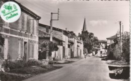 82 - Très Belle Carte Postale Semi Moderne Dentelée De  SAINT NICOLAS DE LA  GRAVE  Avenue Du Montet - Saint Nicolas De La Grave