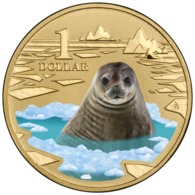 AUSTRALIA • 2013 • $1 • POLAR ANIMALS - WEDDELL SEAL • Coloured Uncirculated Coin In Card - Andere & Zonder Classificatie