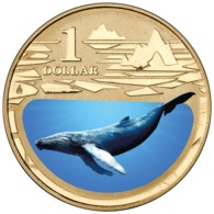 AUSTRALIA • 2013 • $1 • POLAR ANIMALS - HUMPBACK WHALE • Coloured Uncirculated Coin In Card - Andere & Zonder Classificatie