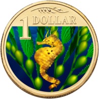 AUSTRALIA • 2007 • $1 • OCEAN SERIES - BIGBELLY SEAHORSE • Coloured Uncirculated Coin In Card - Other & Unclassified