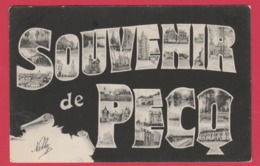 Pecq - Souvenir De ... - Vues De Pecq Dans Les Lettres -1905 ( Voir Verso) - Pecq