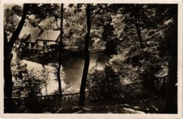 CPA AK Blaubeuren Blautopf GERMANY (897480) - Blaubeuren