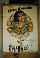 "Fleur D'Oseille" Michel Audiard, Mireille D'Arc...1967 - 120x160 - TTB - Affiches & Posters