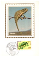 Thème Animaux - Caméléon - France Carte Maximum - Sonstige & Ohne Zuordnung