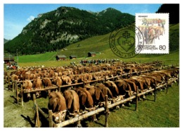 Thème Animaux - Vache - Liechtenstein Carte Maximum - Vaches