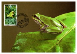 Thème Animaux - Grenouille - Liechtenstein Carte Maximum - Frogs