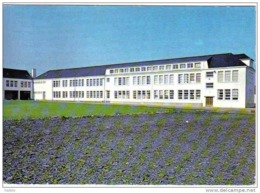 Carte Postale 44. Derval  Ecole Secondaire D'Agriculture  Trés Beau Plan - Derval