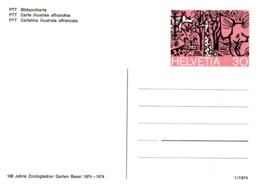 Thème Animaux - Mammifères - Suisse Entier Postal - Other & Unclassified