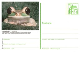 Thème Animaux - Grenouille - Allemagne Entier Postal - Frogs