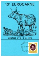 Thème Animaux - Vache, Poule - Italie Carte - Ferme