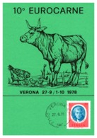 Thème Animaux - Vache, Poule - Italie Carte - Boerderij