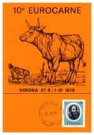 Thème Animaux - Vache, Poule - Italie Carte - Boerderij