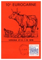 Thème Animaux - Vache, Poule - Italie Carte - Fattoria