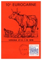 Thème Animaux - Vache, Poule - Italie Carte - Ferme