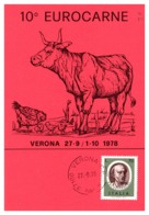 Thème Animaux - Vache, Poule - Italie Carte - Hoftiere